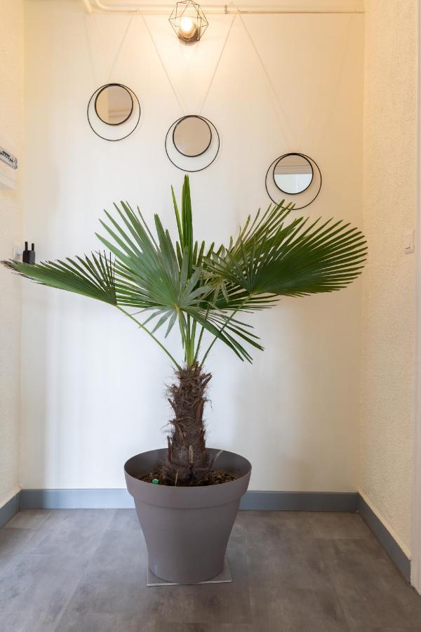 L'Appartement A Cardaillac Rodez Dış mekan fotoğraf